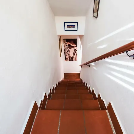 Frugo's House * Pisa